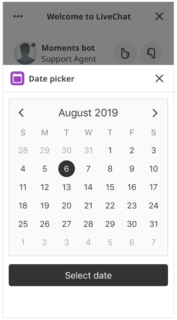 Date Picker